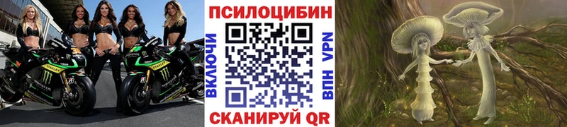 Псилоцибиновые грибы мицелий где продают наркотики Сысерть